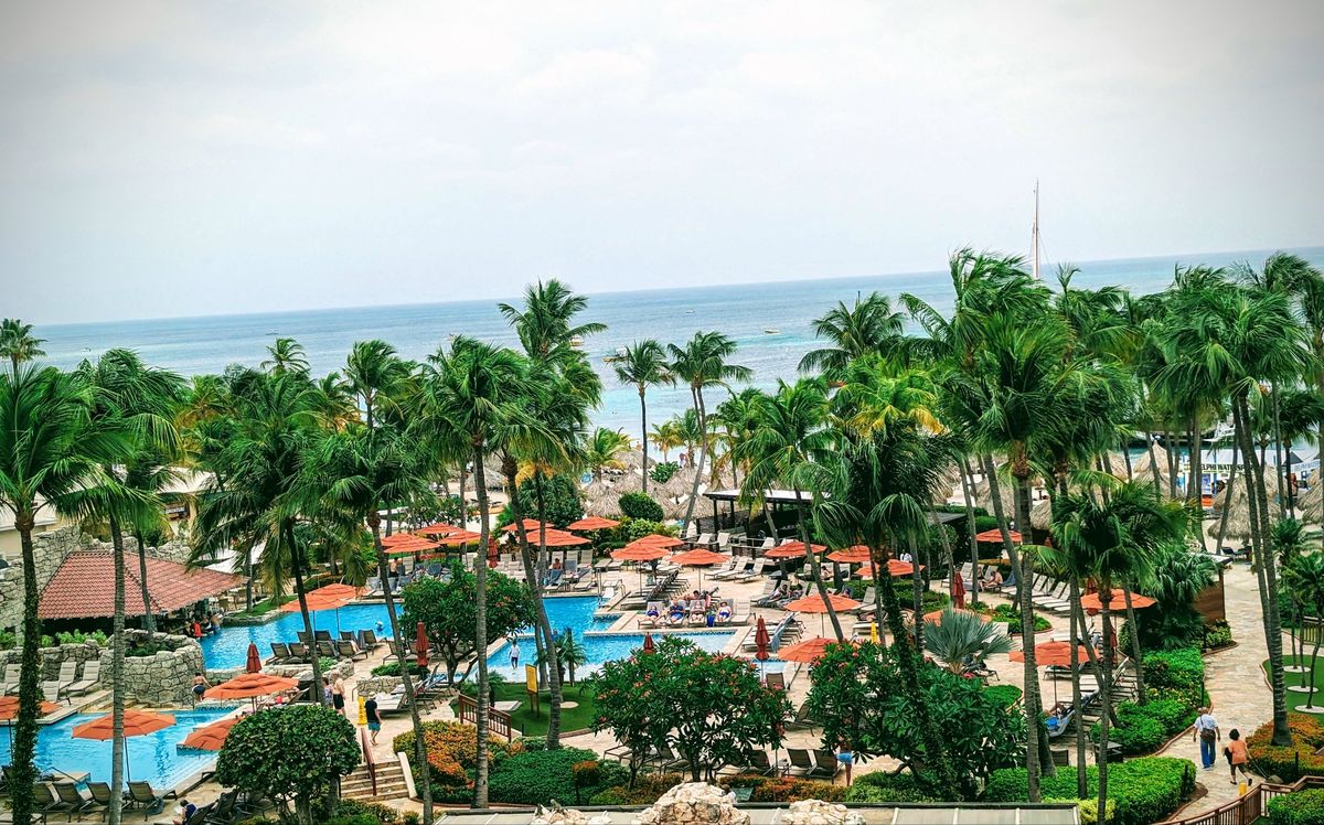 Resort pools and palm trees above the beach in Aruba