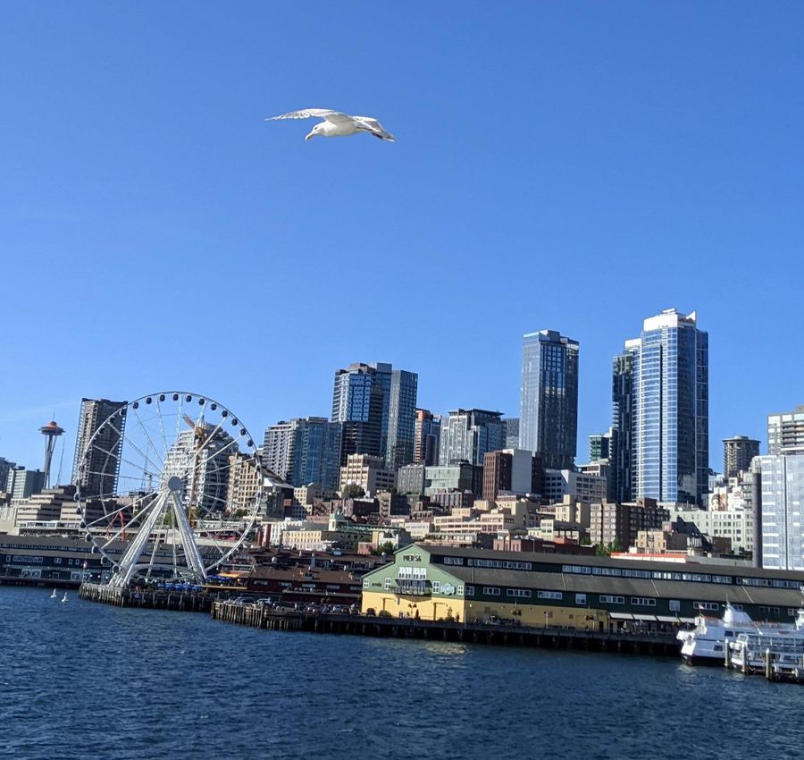 Seattle's waterfront with the Space Needle and observation wheel