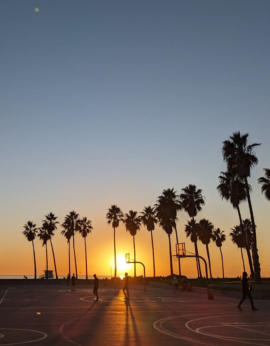Palm trees silhouetted at sunset over the Venice Beach courts